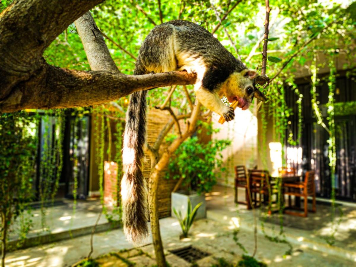 Isi Arana Eco Villa Anuradhapura Luaran gambar