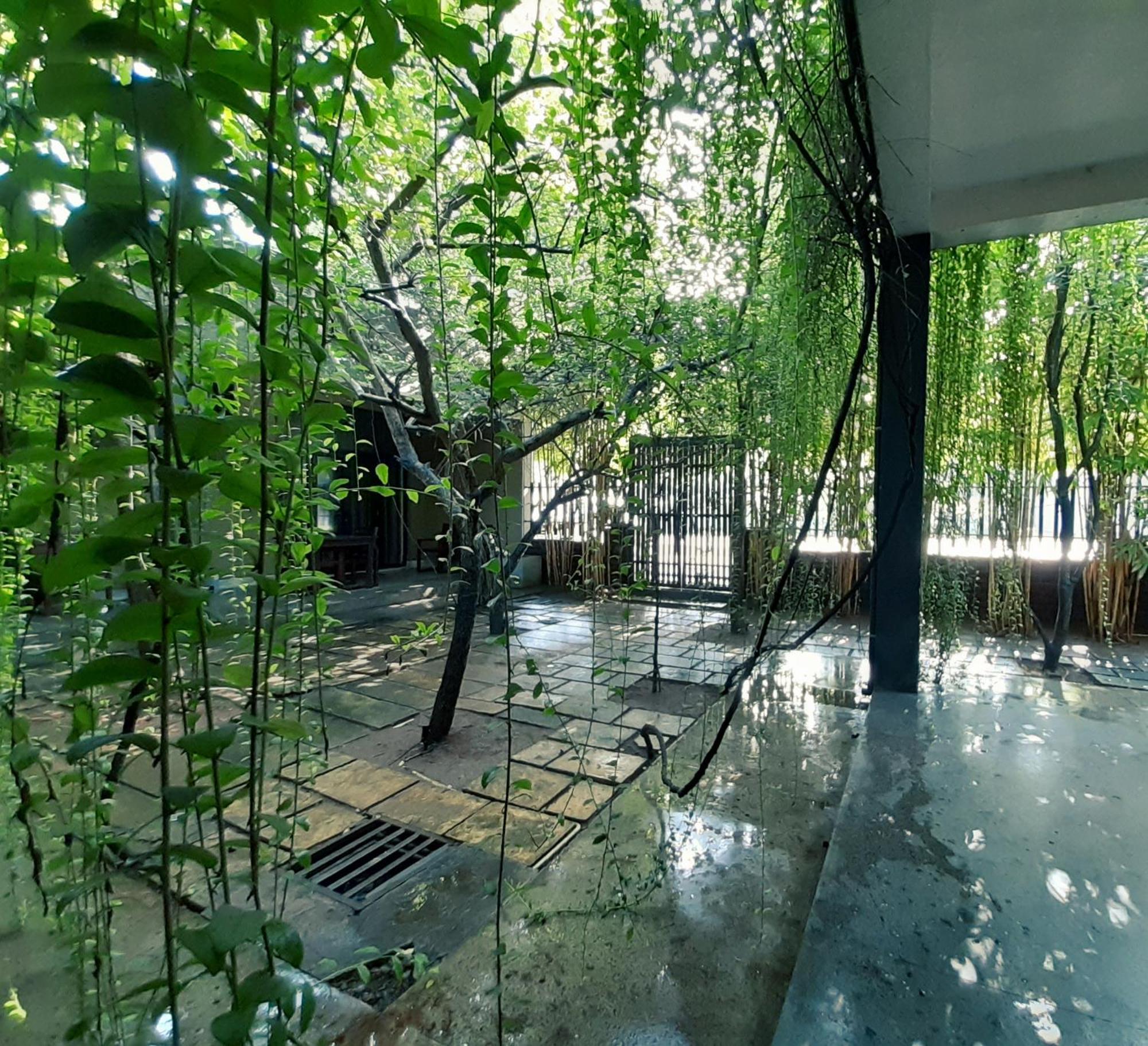 Isi Arana Eco Villa Anuradhapura Luaran gambar